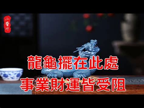 龍龜手鍊頭方向